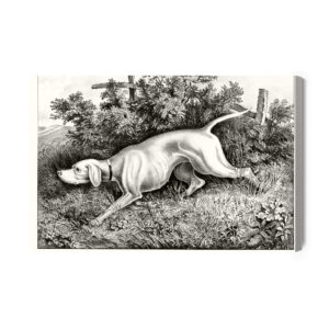 Obraz Na Płótnie Pies Myśliwski