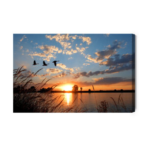 Obraz Na Płótnie Ptaki O Zachodzie Słońca