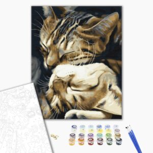 Malowanie po numerach śpiące koty