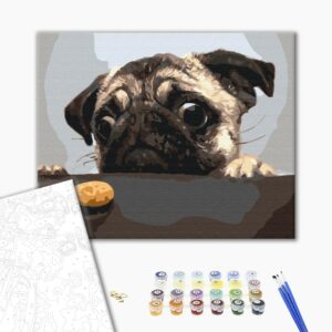 Malowanie po numerach Mops