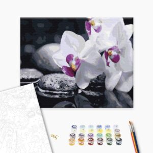 Malowanie po numerach Dzienni kwiaty