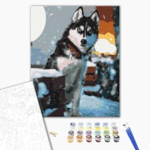 Malowanie po numerach Ciekawy husky.