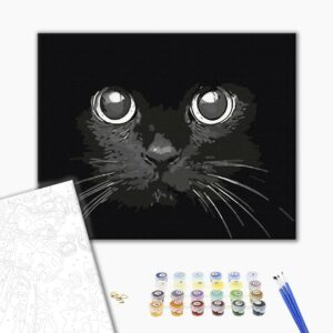 Malowanie po numerach Nocny widok