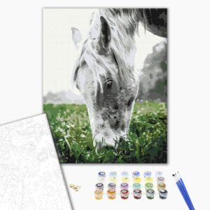 Malowanie po numerach Szary Koń