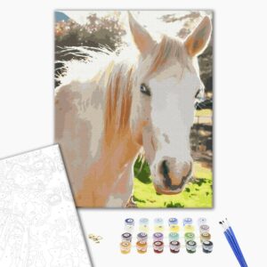 Malowanie po numerach biały koń