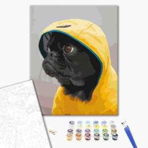 Malowanie po numerach Mops w bluzie z kapturem