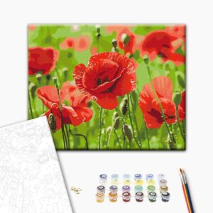 Malowanie po numerach Czerwone maki