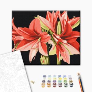 Malowanie po numerach Amarylis © Anastasiia Osmolovska