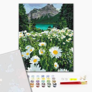 Malowanie po numerach Premium Rumiany około gór