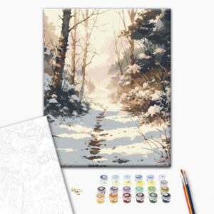Malowanie po numerach Ośnieżona ścieżka